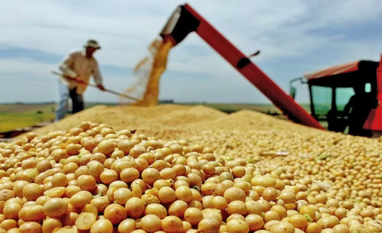 Agropecuária cresce 11,7% e lidera alta de 2,3% do PIB em 2025, diz IBGE