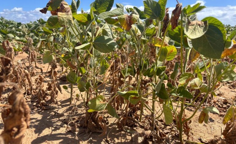 Defesa Civil solicita ajustes em decreto de emergência de Santo Ângelo