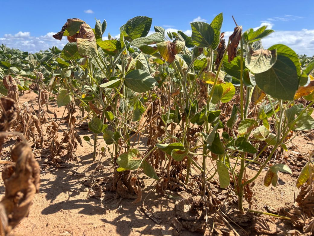Defesa Civil solicita ajustes em decreto de emergência de Santo Ângelo