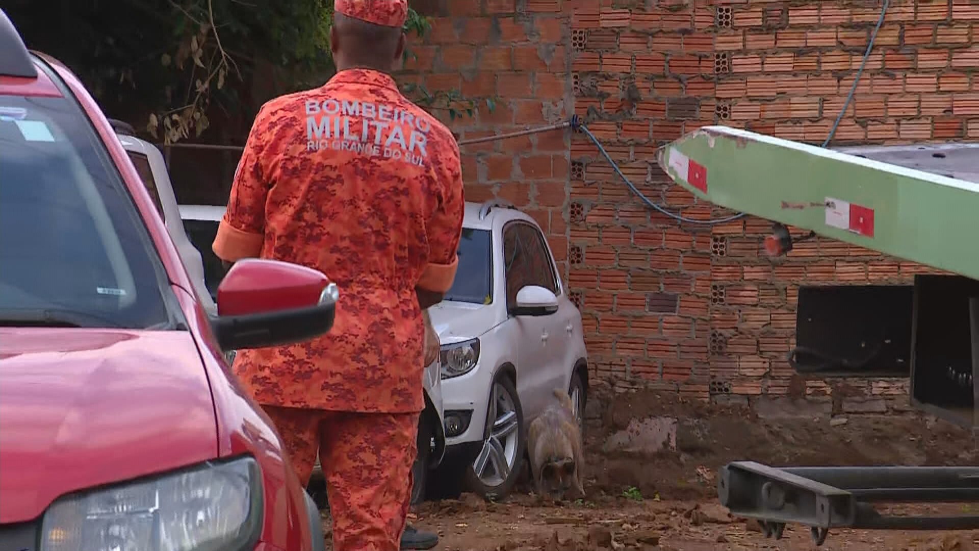 Buscas por família desaparecida há 50 dias voltam a usar cães farejadores no RS; entenda o que isso muda na investigação