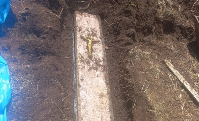 Homem aluga casa e acha ossada humana no quintal em SC