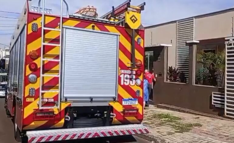 Ataque de rottweiler mata criança de 4 anos em Chapecó, SC