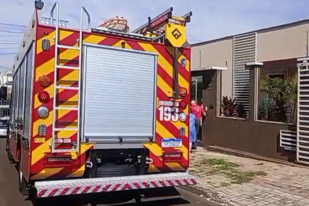 Ataque de rottweiler mata criança de 4 anos em Chapecó, SC