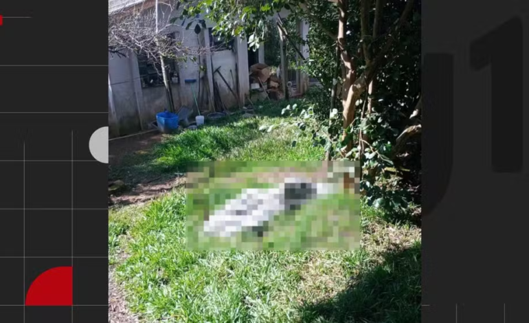 Homem é morto pela companheira com golpes de machado no interior do RS