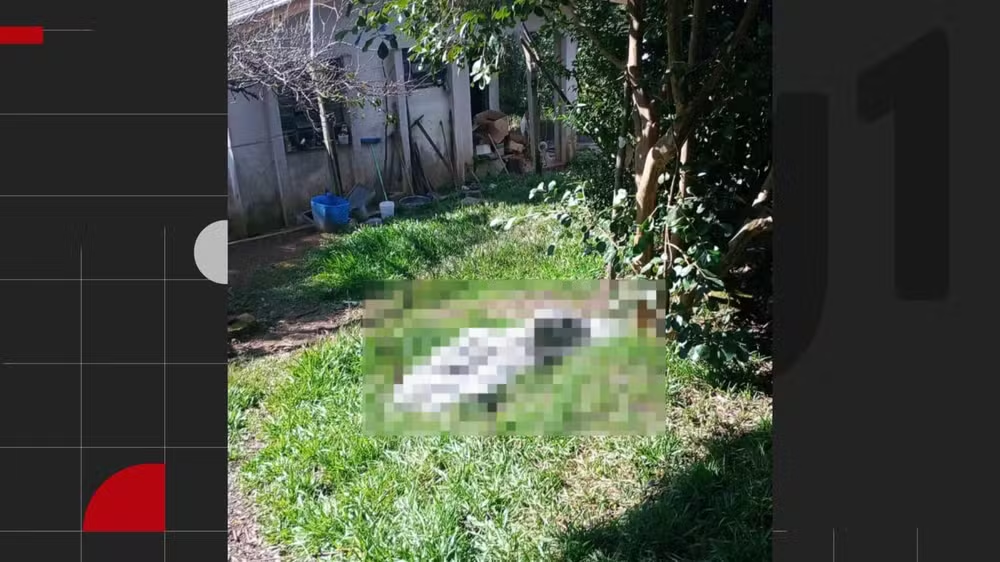 Homem é morto pela companheira com golpes de machado no interior do RS