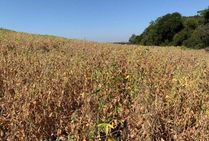 Guarani das Missões decreta situação de emergência