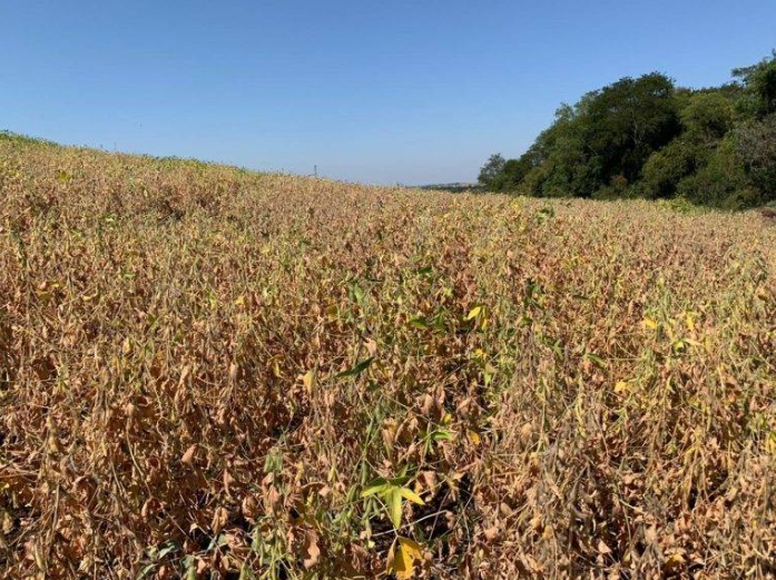 Guarani das Missões decreta situação de emergência