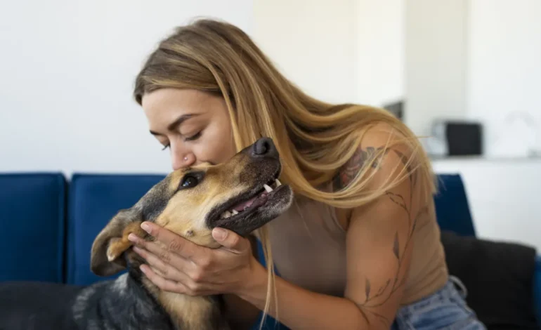 Guarda compartilhada de pets após separação: entenda lei que entra em vigor nesta sexta-feira