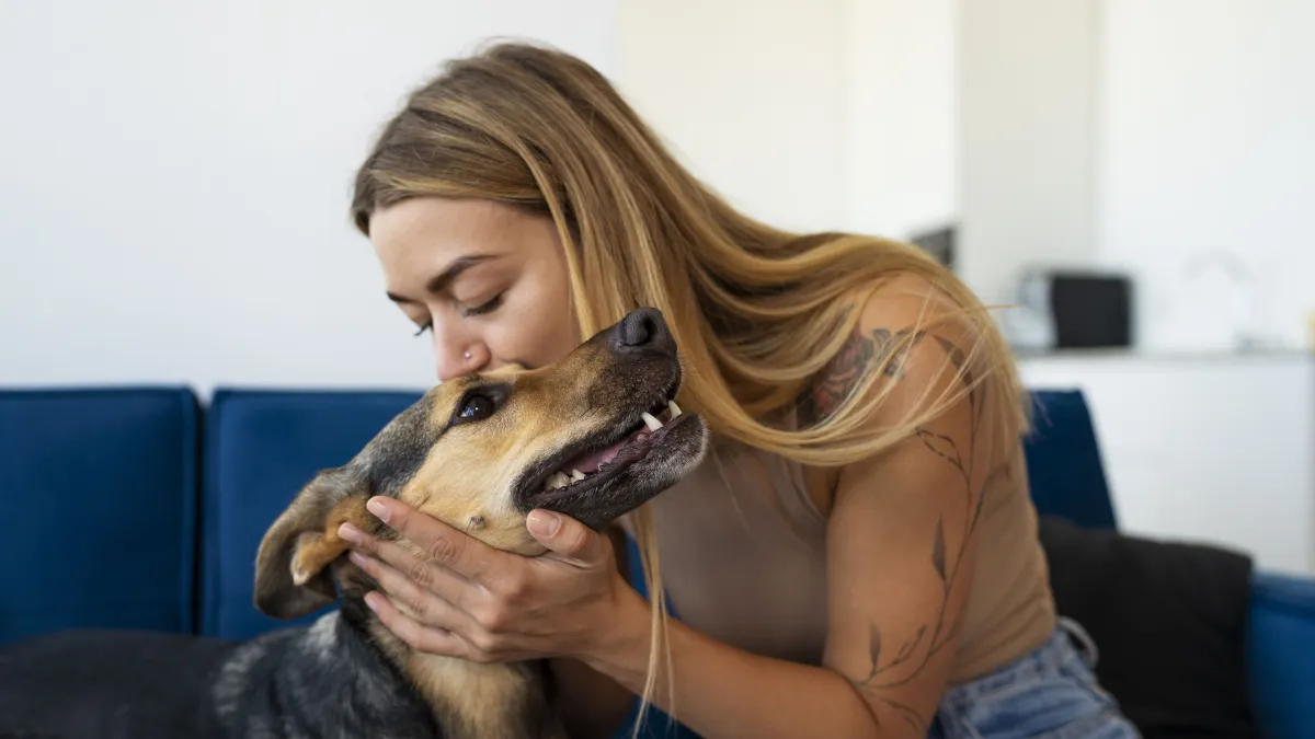 Guarda compartilhada de pets após separação: entenda lei que entra em vigor nesta sexta-feira