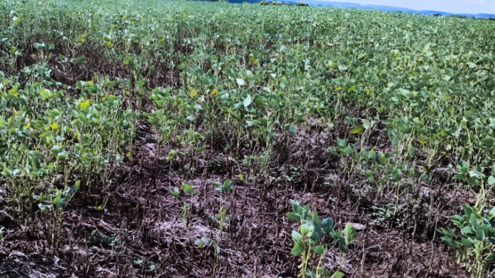 Municípios da região começam a ter decretos de emergência homologados em nível estadual