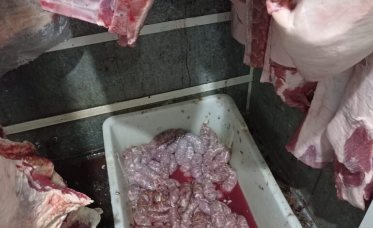 Polícia Civil apreende cerca de 250 quilos de carne imprópria para consumo em Salvador das Missões