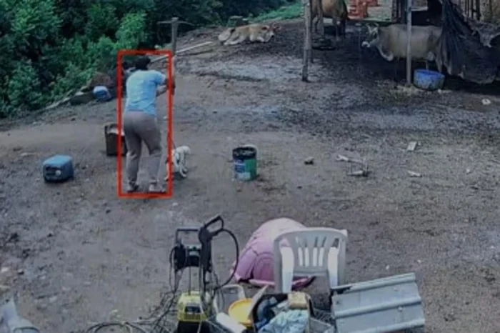 Mulher é presa em flagrante após morte de cão a golpes de picareta em Porto Alegre