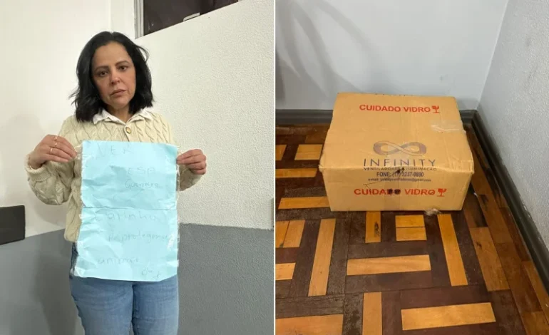 Vereadora recebe cachorro morto dentro de caixa na Câmara de Novo Hamburgo
