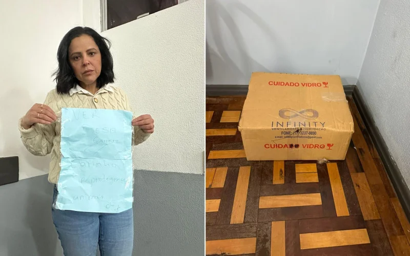 Vereadora recebe cachorro morto dentro de caixa na Câmara de Novo Hamburgo