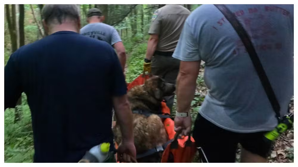 Cachorra de 46 kg é resgatada por bombeiros após passar mal durante trilha nos EUA