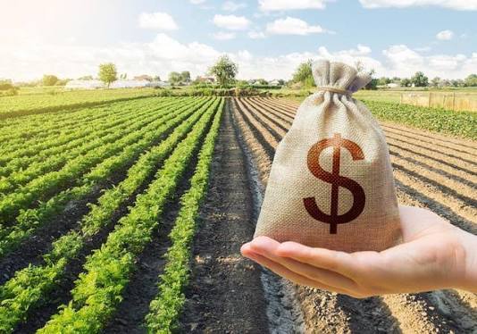 Governo anuncia acordo com bancada do agro para renegociação de dívidas rurais