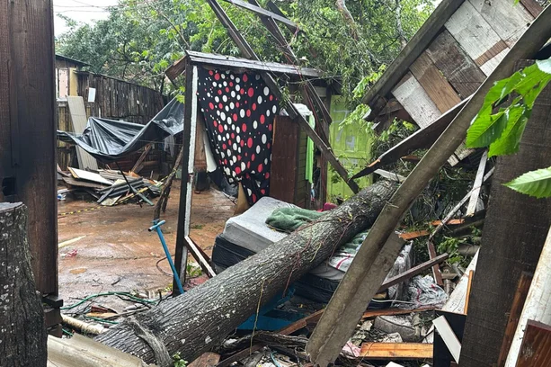 Menino de sete anos morre devido a queda de árvore na zona norte de Porto Alegre