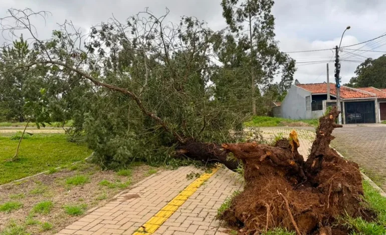 Defesa Civil confirma morte em Montenegro e cinco feridos devido a temporal no RS