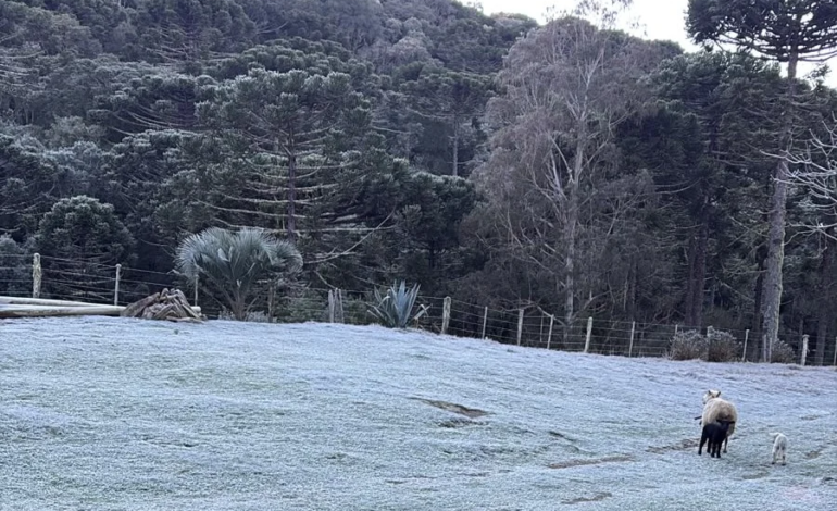 RS registra temperaturas negativas em 24 municípios; frio dá lugar a chuva forte