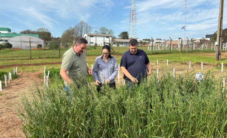 URI Santo Ângelo aprova projeto na FAPERGS e consolida polo de inovação para o agronegócio
