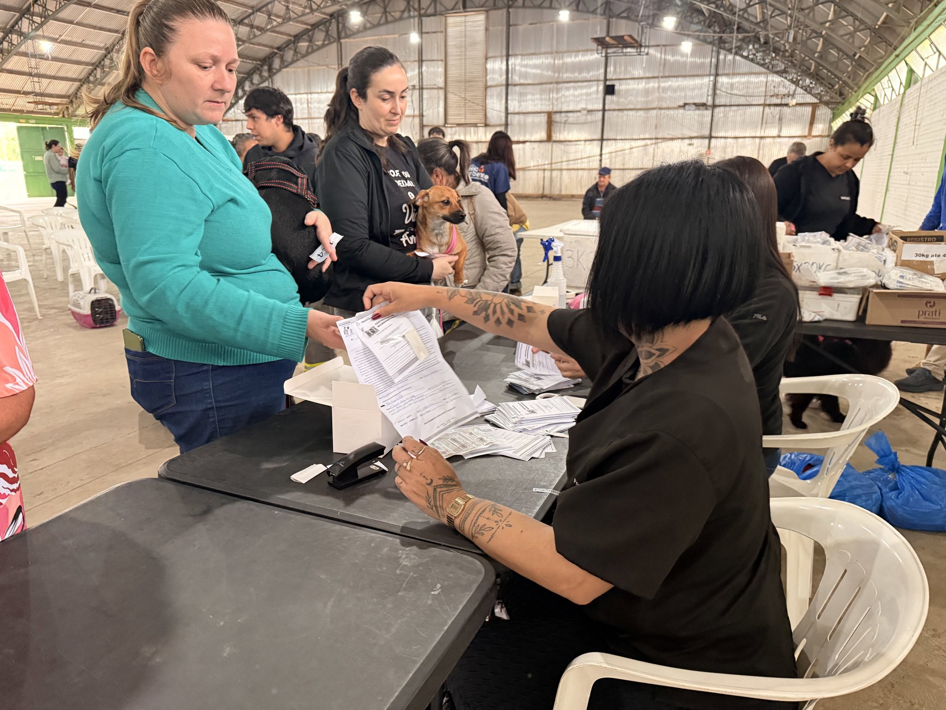 Santo Ângelo realiza mutirão de castração com 208 vagas disponíveis