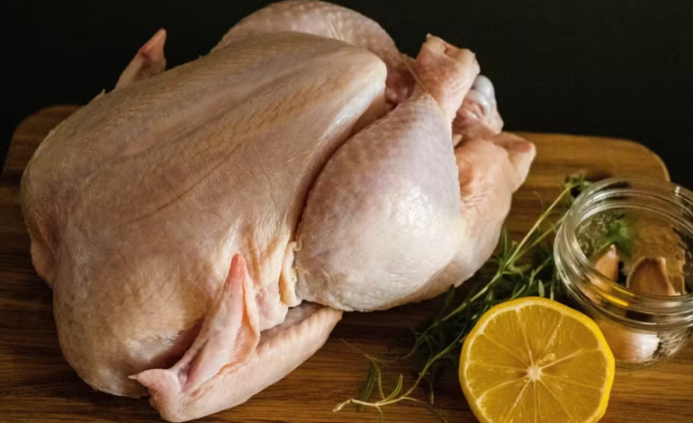 Brasil deve voltar a exportar mel e carne de aves para a União Europeia