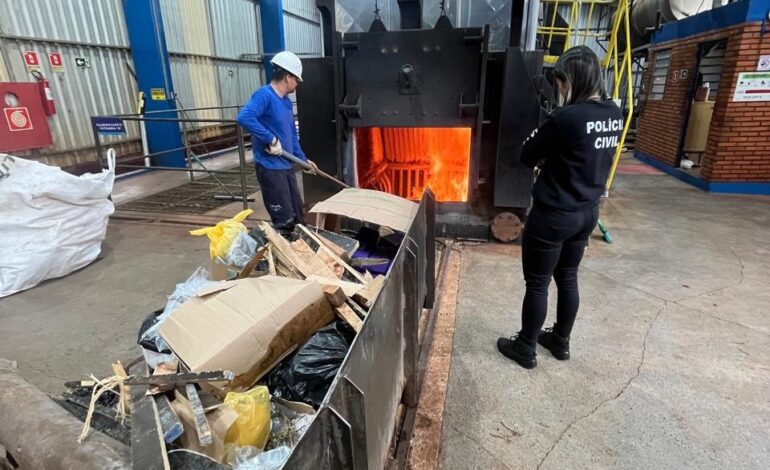 Polícia Civil e Brigada Militar incineram mais de 242 quilos de drogas apreendidas na região