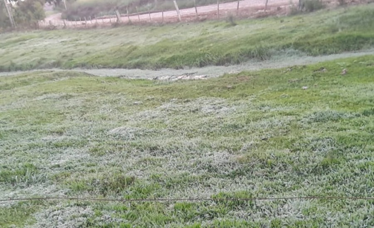 RS registra temperaturas negativas em três municípios em plena primavera