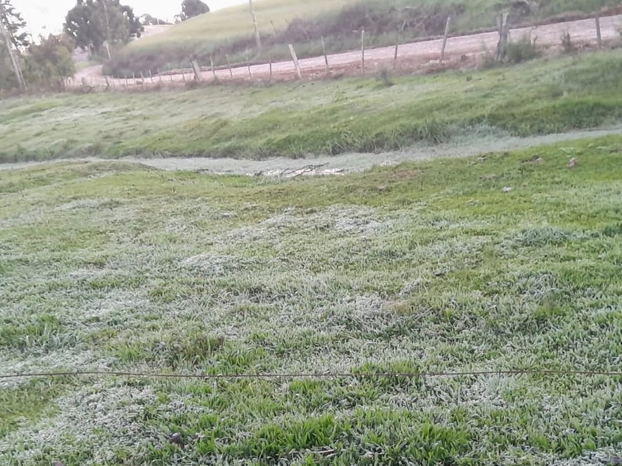 RS registra temperaturas negativas em três municípios em plena primavera