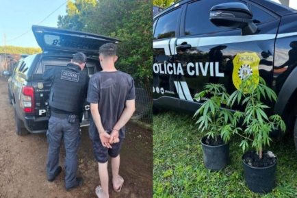 Polícia Civil realiza ofensiva contra o tráfico de drogas em São Paulo das Missões