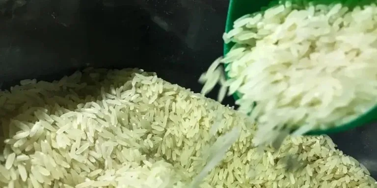 Leilões da Conab negociam 91,7 mil toneladas de arroz