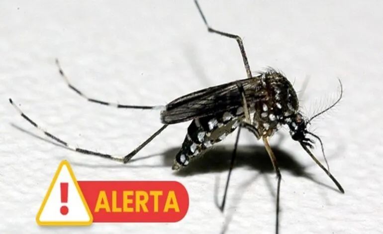 RS registra terceira morte por dengue e primeira por chikungunya em 2025