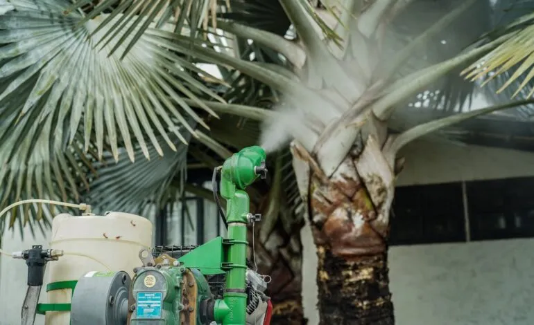 Aumento dos casos de dengue e chikungunya na região preocupam