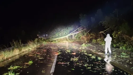 Temporal de granizo atinge diversas regiões do RS e causa estragos em municípios