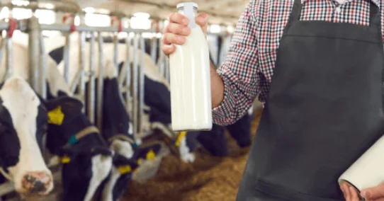 Estudo aponta região noroeste do RS como líder na produção nacional de leite