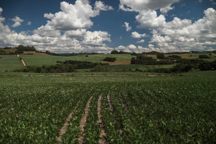 La Niña é confirmado até o verão de 2026 pela Administração Nacional Oceânica e Atmosférica dos Estados Unidos