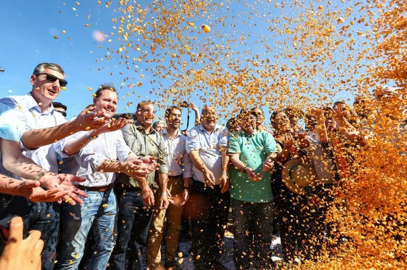 Fenamilho pleiteia sede da Abertura da Colheita  Estadual de Milho 2027