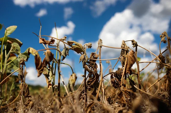 Rio Grande do Sul cresce 1,7% em 2025, abaixo da média nacional