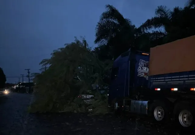 Palmeira das Missões fica sem luz e água após temporal; outras sete cidades registram estragos