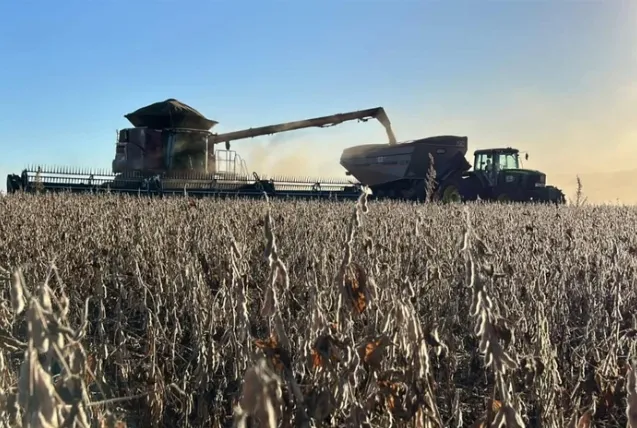 Colheita da soja no RS avança, mas percentual é inferior à média do período