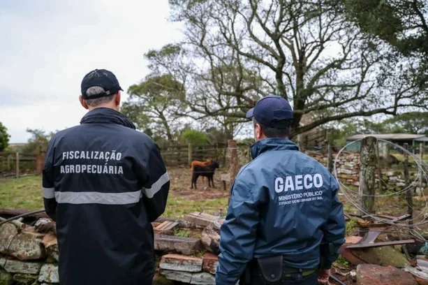Operação Boi Fantasma investiga esquema de R$ 100 milhões com venda fictícia de gado no RS