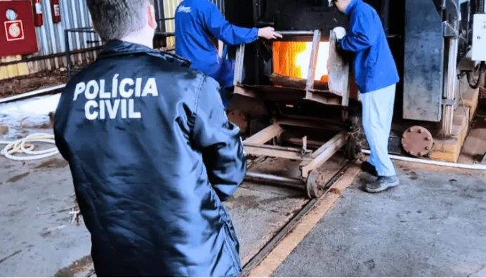 Drogas avaliadas em R$ 1,1 milhão apreendidas na região são incineradas pelas forças de segurança