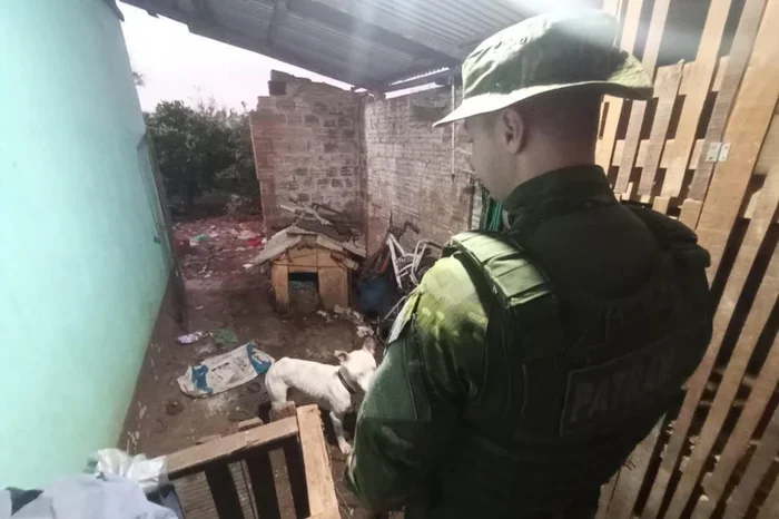 Homem é preso por maus-tratos a animais e suspeita de promover rinhas de galos em Cruz Alta