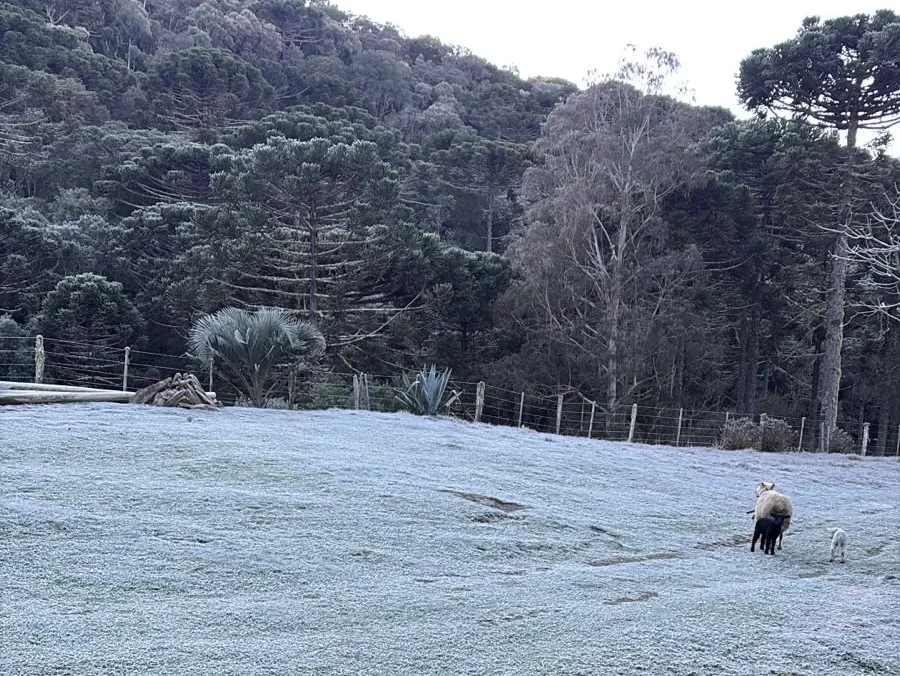 RS registra temperaturas negativas em 24 municípios; frio dá lugar a chuva forte